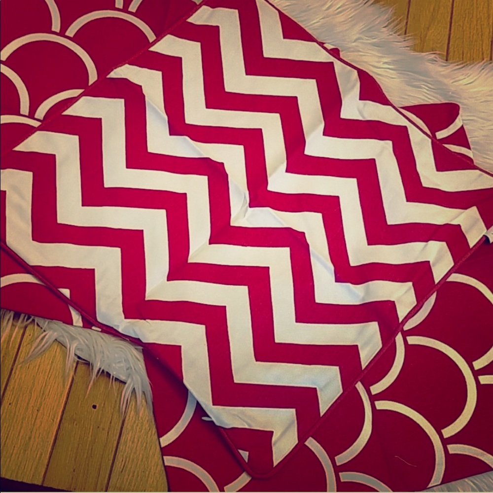 Set of 3 Coordinating 16 inch Square Pillow Covers